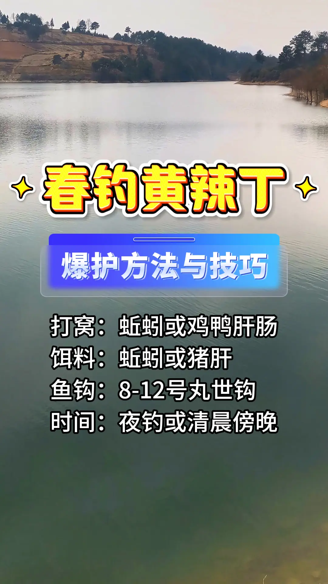 春天爆护方法与技巧， 打窝：蚯蚓或鸡鸭肝肠， 饵料：蚯蚓或猪肝， 鱼钩...