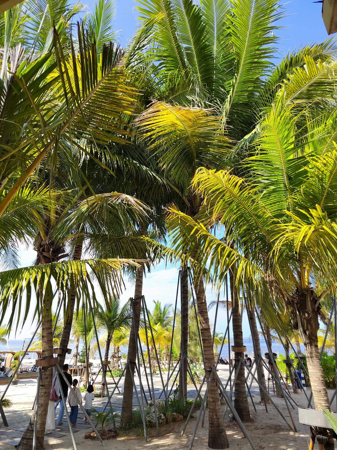 许多人一辈子都没弄明白的职场真相：
1. 实用主义。
学习首先要学当下最有用的知