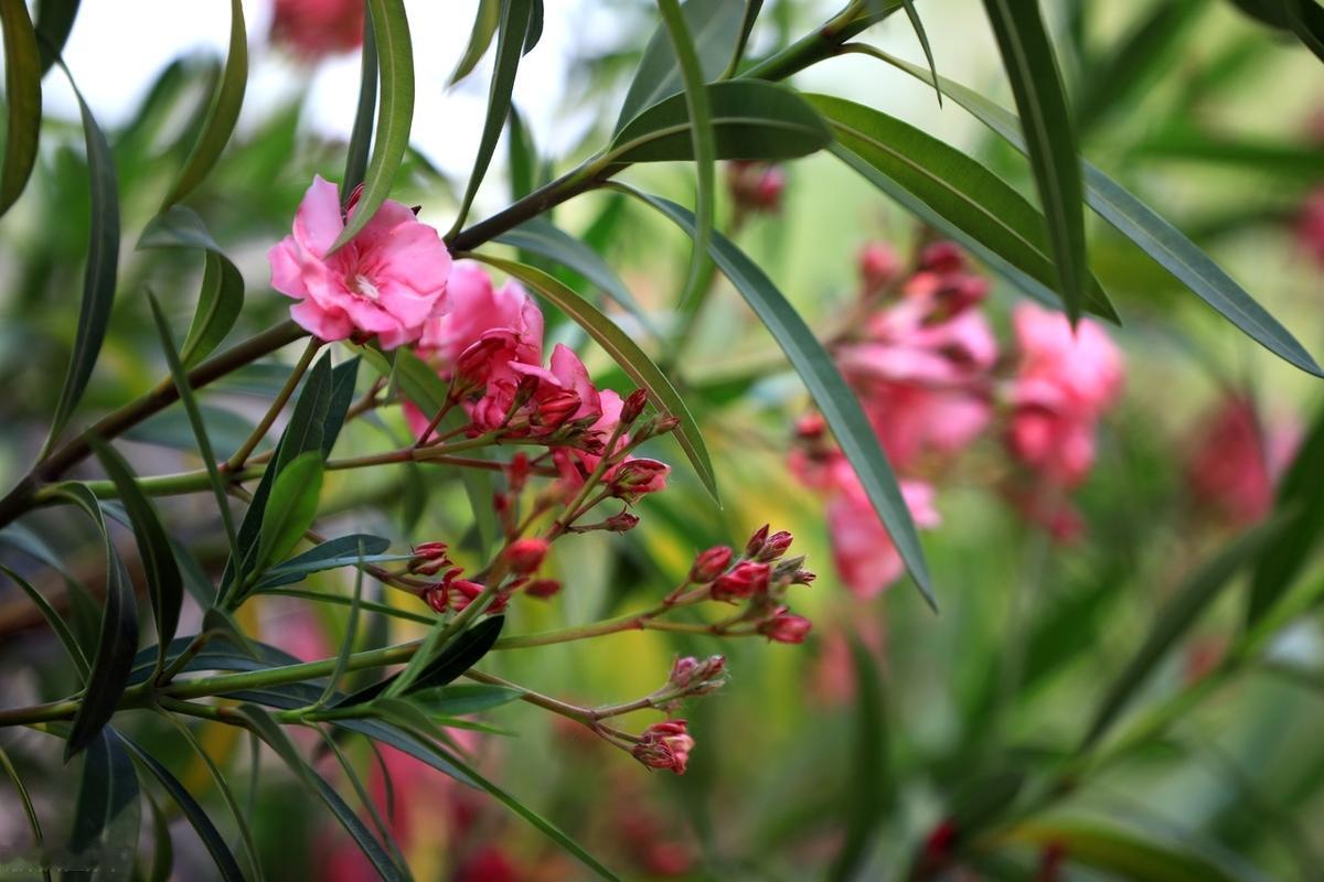 别等不该等的人，别伤不该伤的心，有些人注定就是生命中的过客。爱情，友情，都是这样