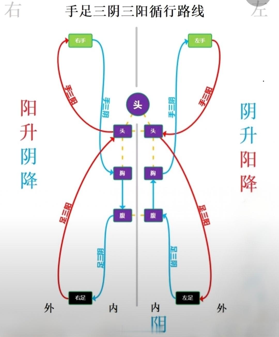 菟丝子的用法不传之秘，补肾不燥、祛湿不伤阴，关键在炮制配伍酒菟丝子：这才是补肾的