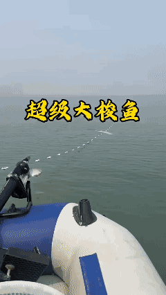 啥鱼？海鱼吗？🤔
