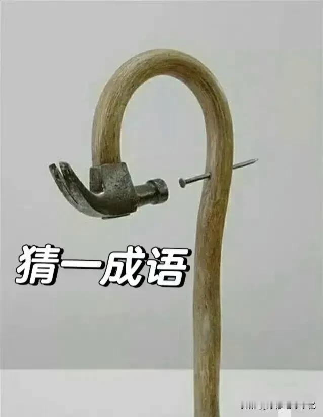 这是什么成语