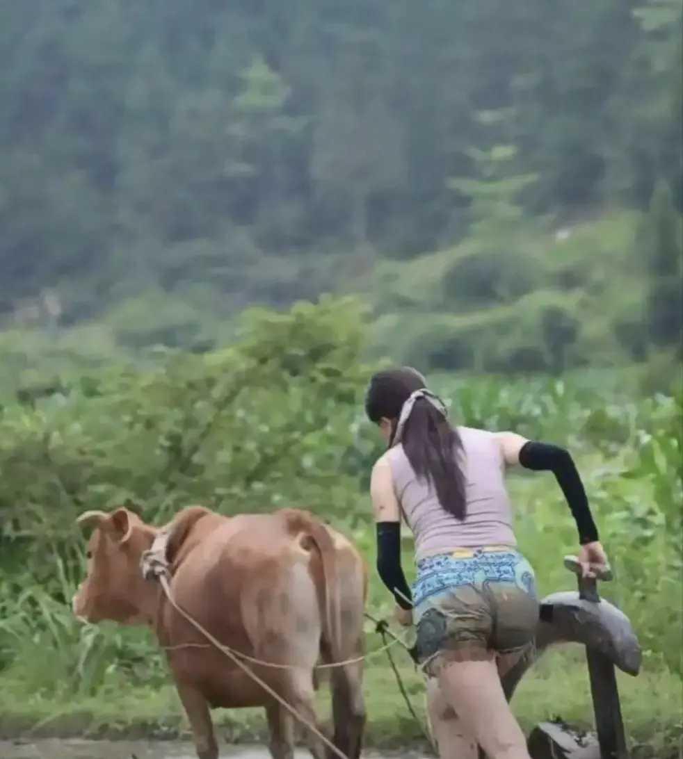 许家印的处罚会执行吗？还是只是一个处罚。许老板搭建的这个草台班子，不会就这么草率