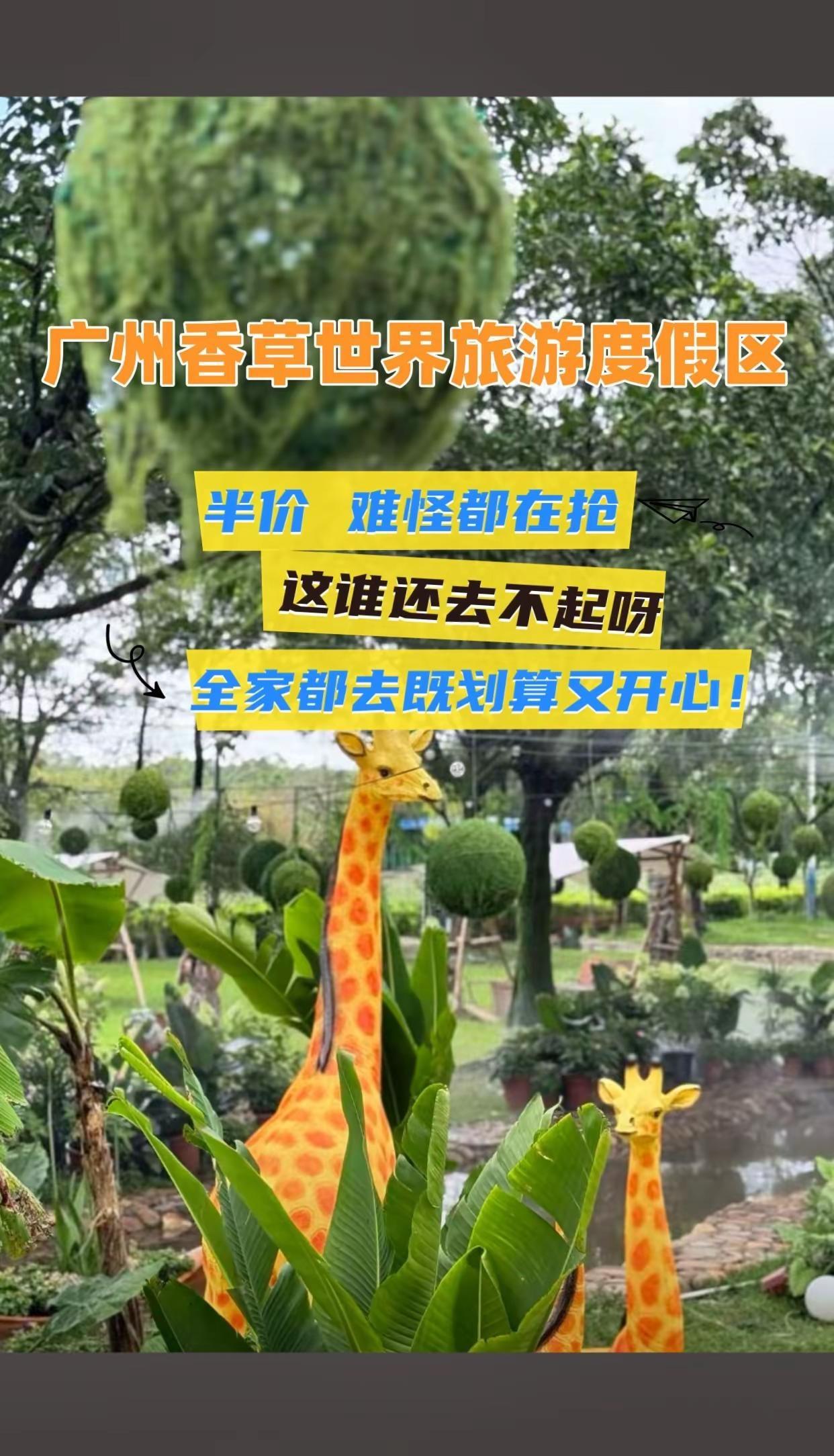 广州香草世界旅游度假区 花海世界