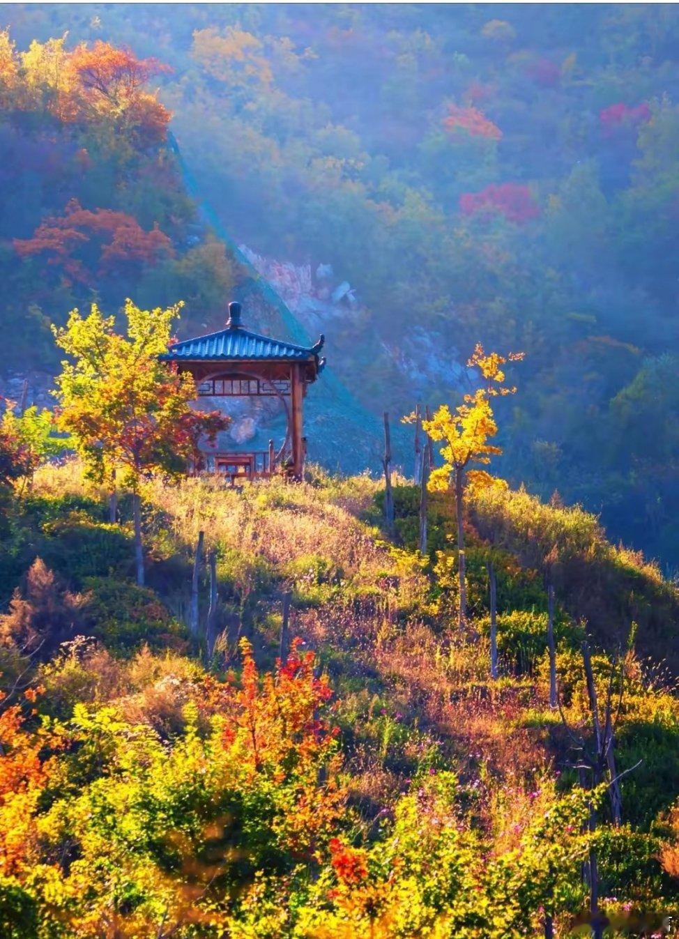 国庆反向出游指南 每年国庆，全国上亿人集中出门旅游。高速堵车、景区限流、酒店涨价