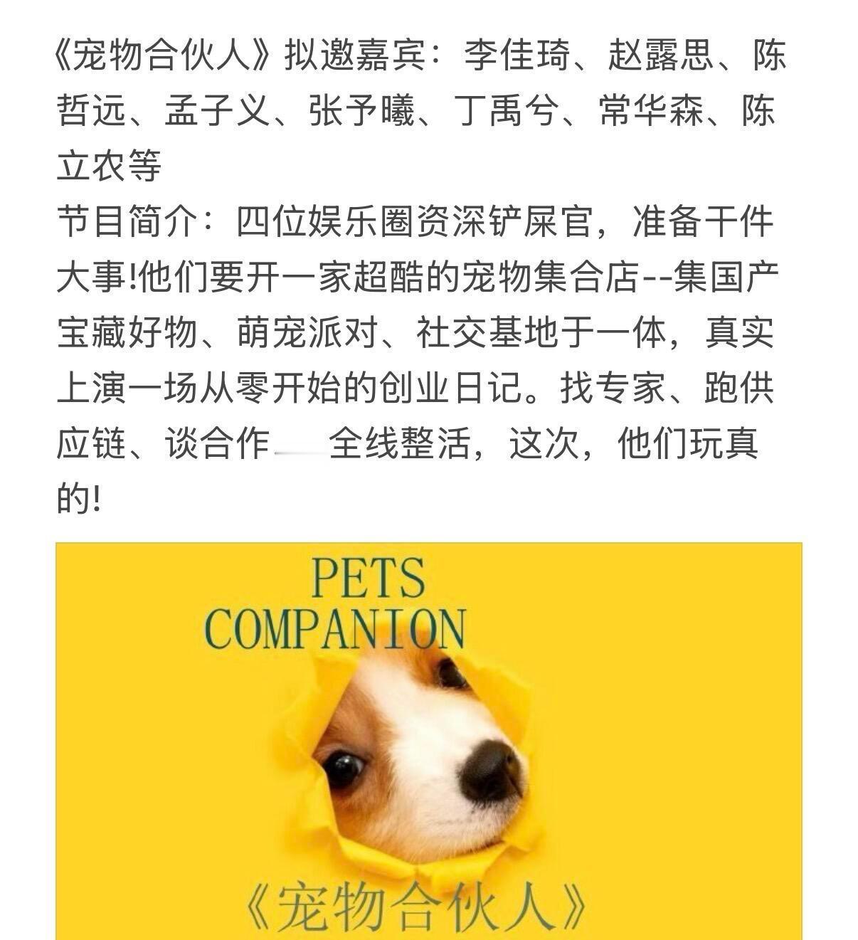 《宠物合伙人》拟邀嘉宾：李佳琦、赵露思、陈哲远、孟子义、张予曦、丁禹兮、常华森、