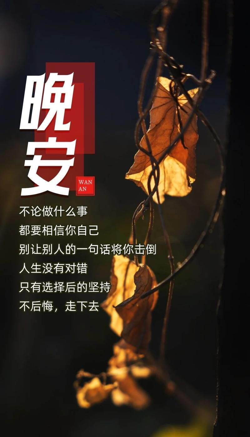 晚安 卸下一日的喧嚣，拥抱一夜的宁静晚安好梦 