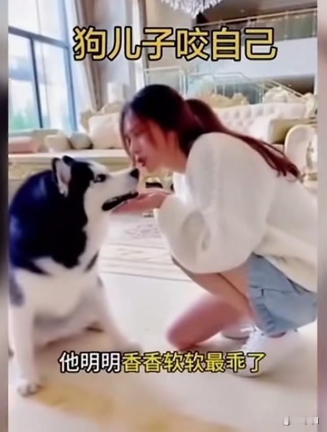 这个女人炫耀自己家的狗不咬人，打脸来的真快，话音刚落咔嚓一口咬在女人脸上，狗子真