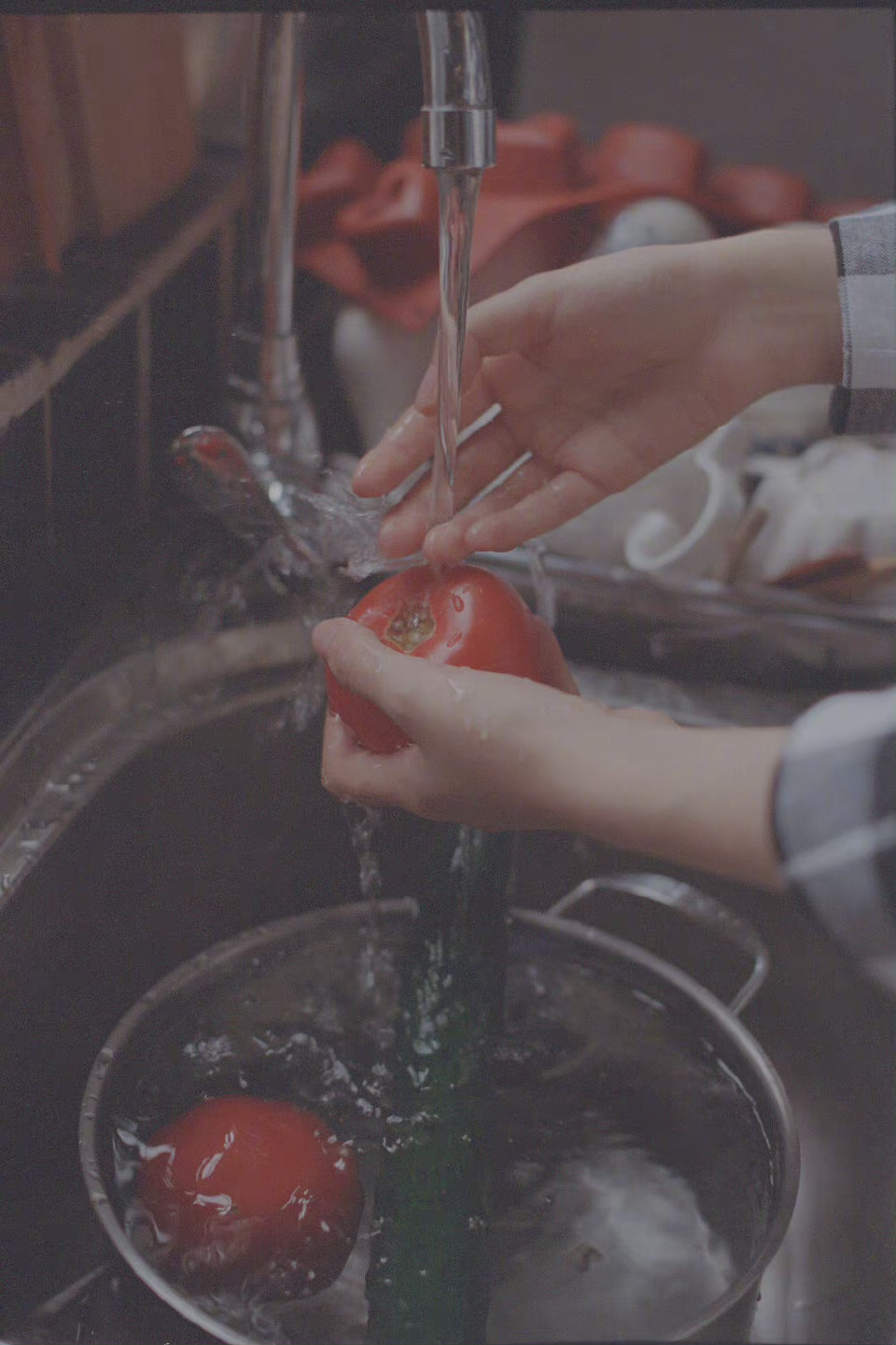 抗命不可能，顺命太轻闲，遵命得认真，唯有乐命，乐命最是自由自在。        