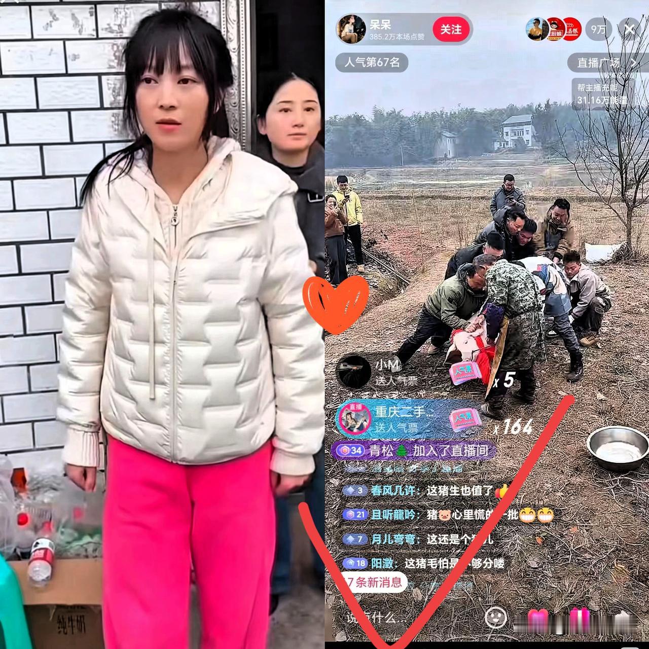 别再羡慕呆呆！你我学不来的，是她刻进骨子里的真实！
 
没有脚本、没有滤镜，连口