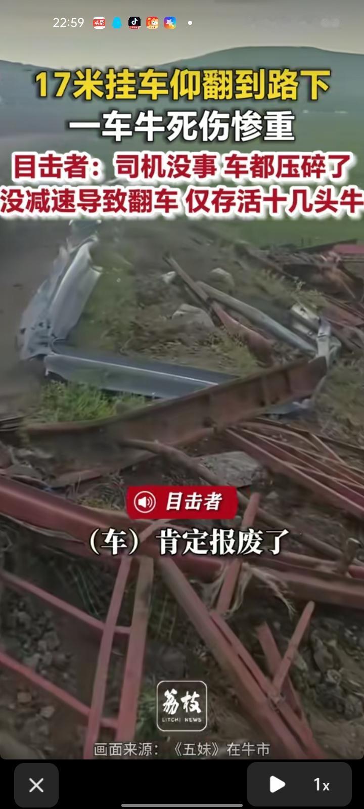7月2日，赤峰市临西县。网友晒视频称，一辆17米长的挂车仰翻到路下，一车牛死伤惨