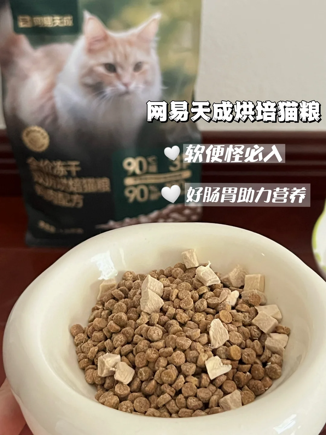 猫拉肚子像水龙头🚰