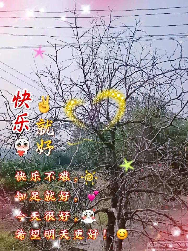 冬日生活打卡季 冬日真是个宝藏季节！入冬后有好多价廉物美的小海鲜，像扇贝等就很值