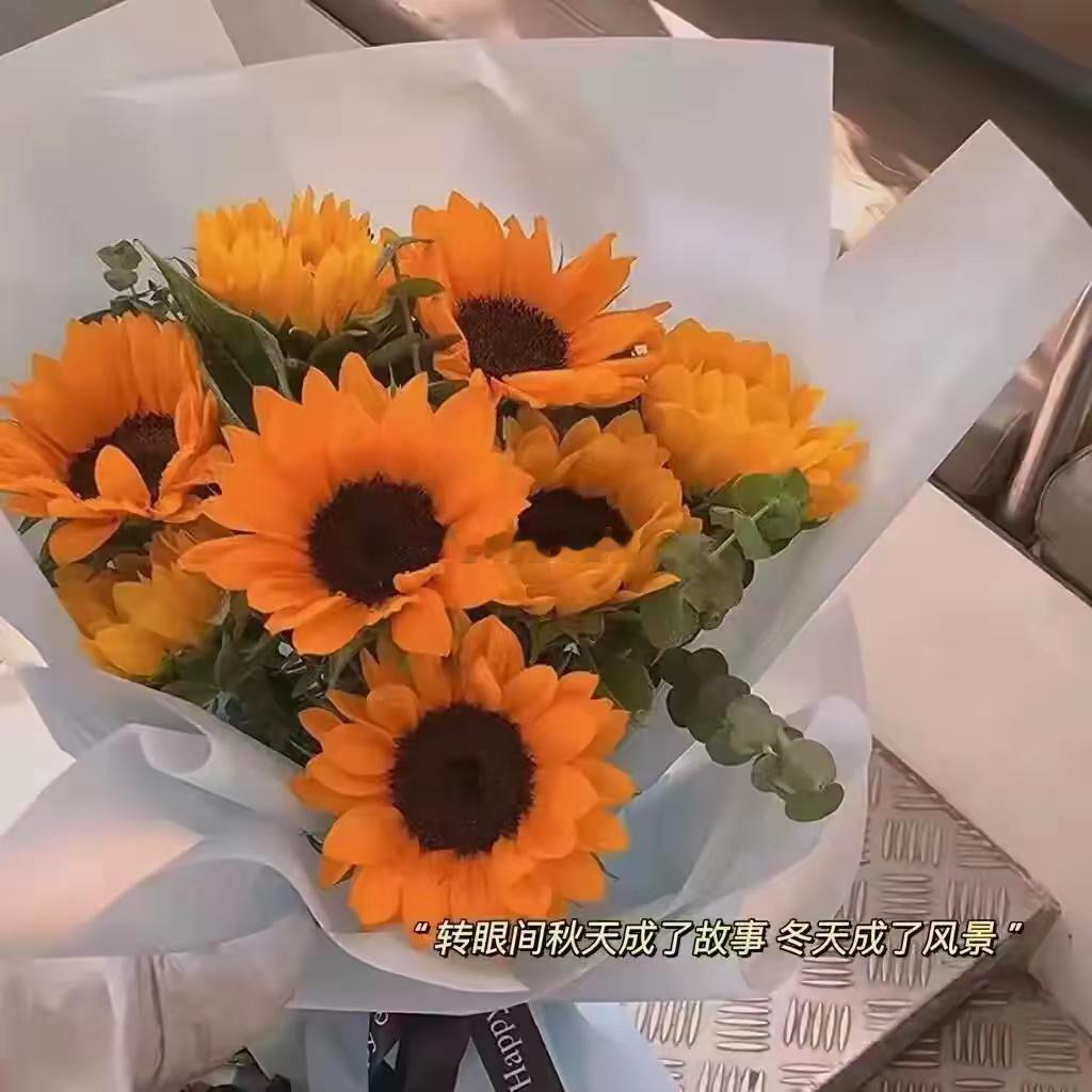巨蟹座男生情感细腻，内心柔软且温情满溢。他们视家庭为至上，一心营造温馨稳定的爱巢