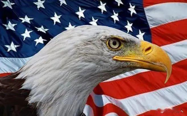 疯子、无赖、强盗、土匪、流氓，“五毒”俱全，非美帝莫属。兼于美帝一惯表现，建议给