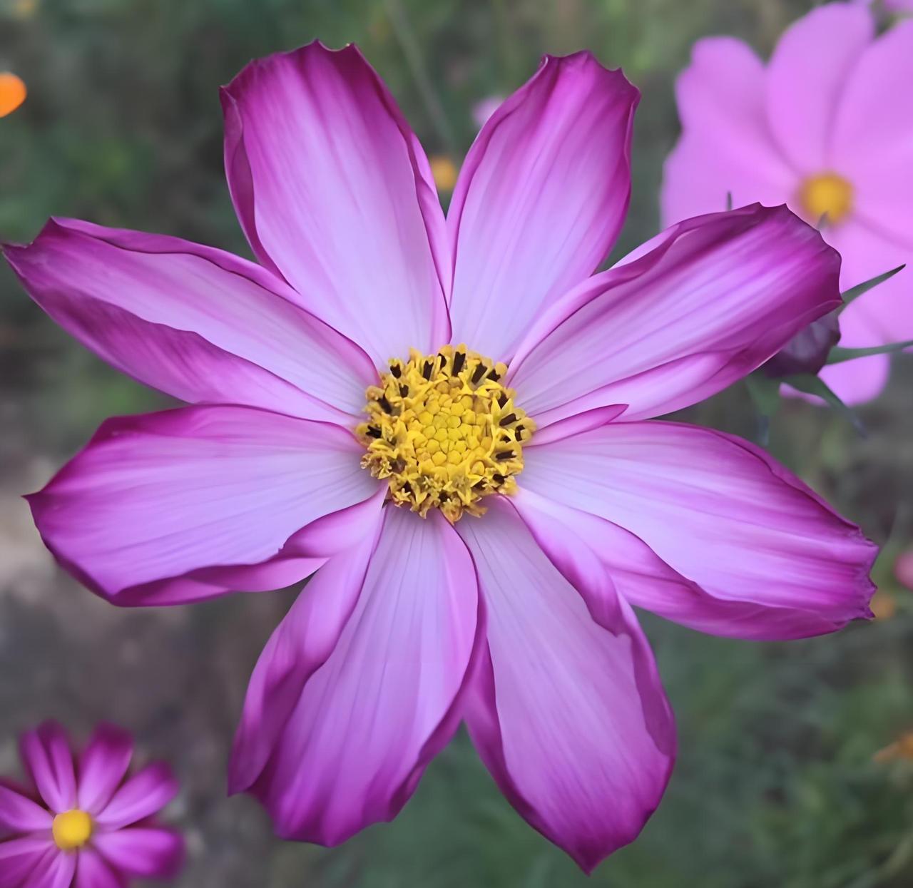 找到一个最轻松的活法，
就是人生真正意义上的开始。
人生短短几十年，
确实不应该