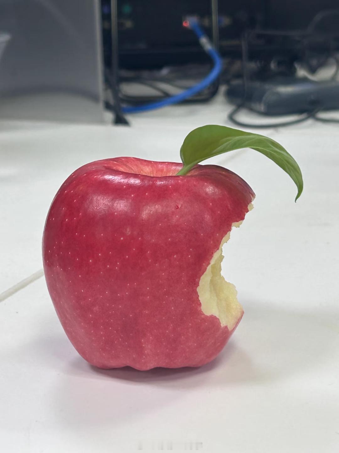 工作后才知道苹果是最好的水果无论什么时候苹果都是最难吃的水果，乔布斯来了也只愿意