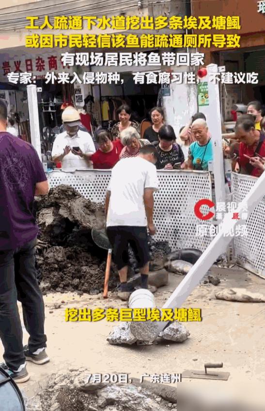 这谁能想得到！广东连州，一条排水管道里，工人们在疏通清淤时，竟然在恶臭的泥潭里抠