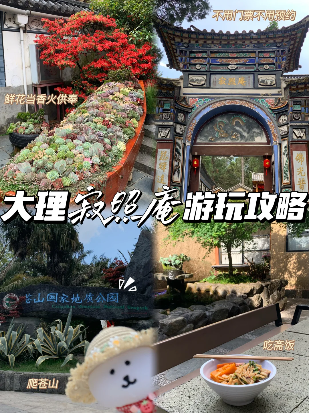 大理旅游/寂照庵半日游玩攻略‼️很值得去