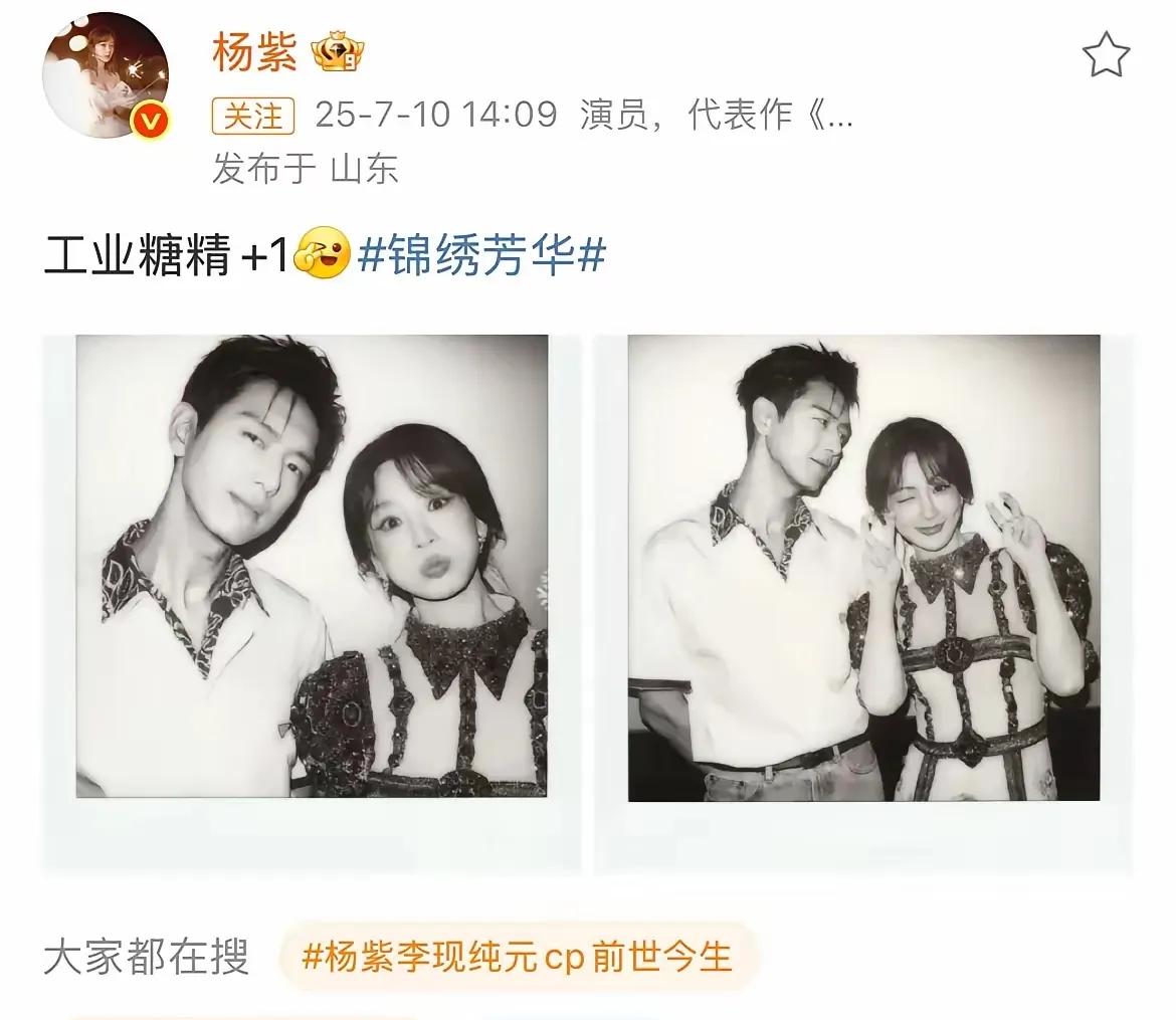 杨紫一句“工业糖精”，直接戳穿了剧粉的粉色泡泡，气的粉丝恨铁不成钢。

最近，杨
