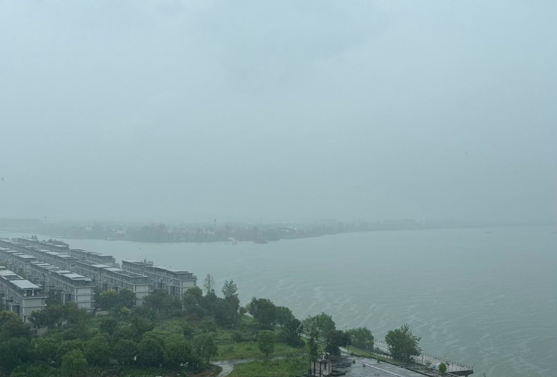 杭州的雨一直下 ​​​