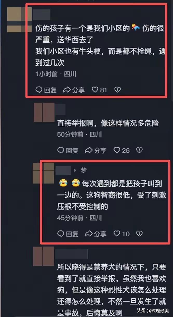 眉山3岁女童被咬，
与狗主人所住小区物业脱不了干系！
这件事情从头到尾，小区的物