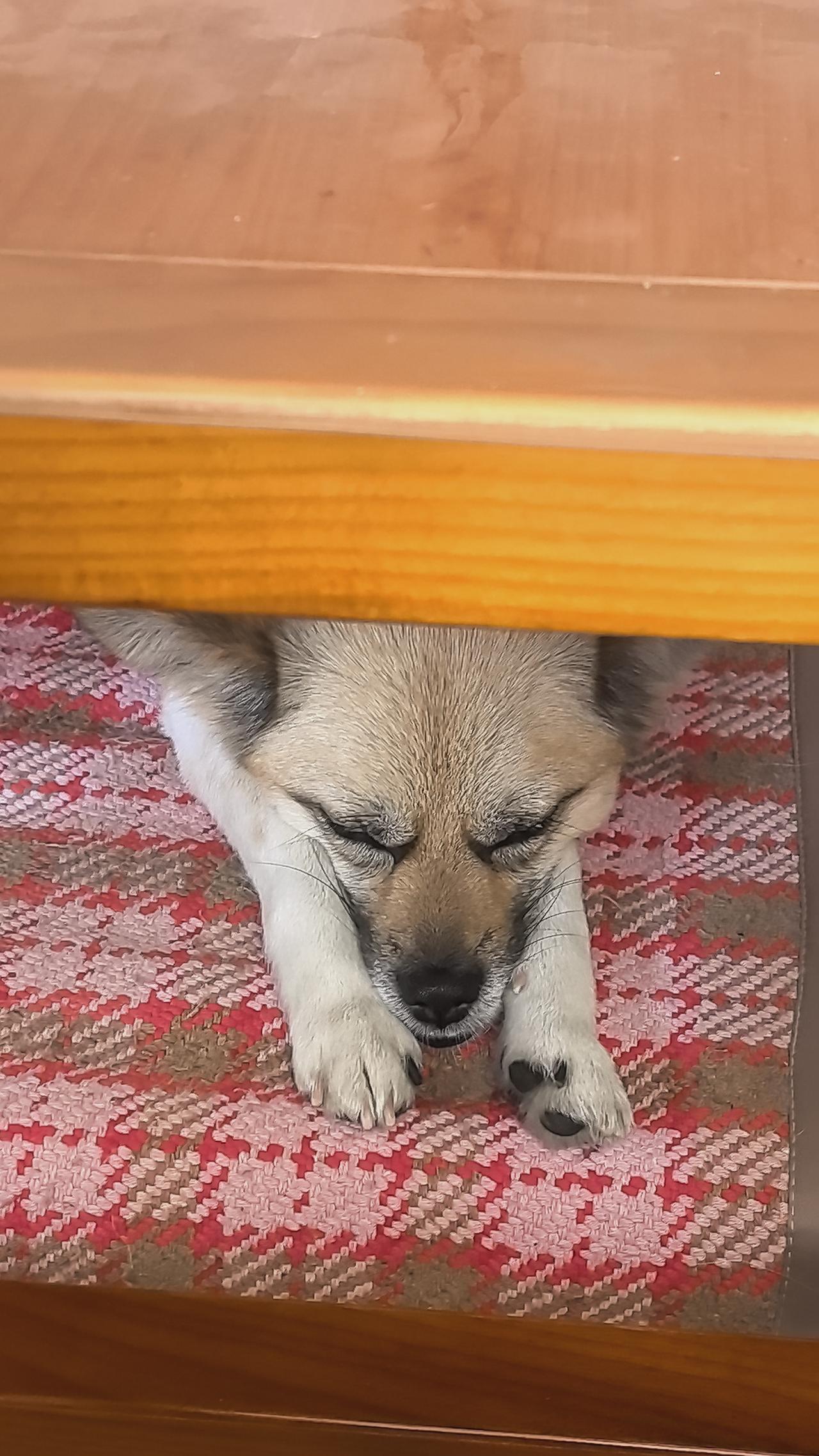 一百年前的世界大乱1920/49会重演吗？
历史上技术革命周期往往伴随收入分配差