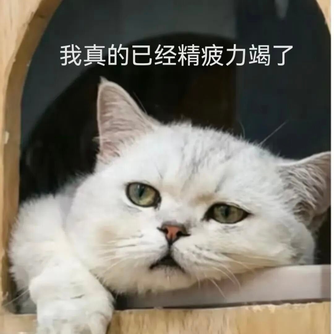 磊磊的 