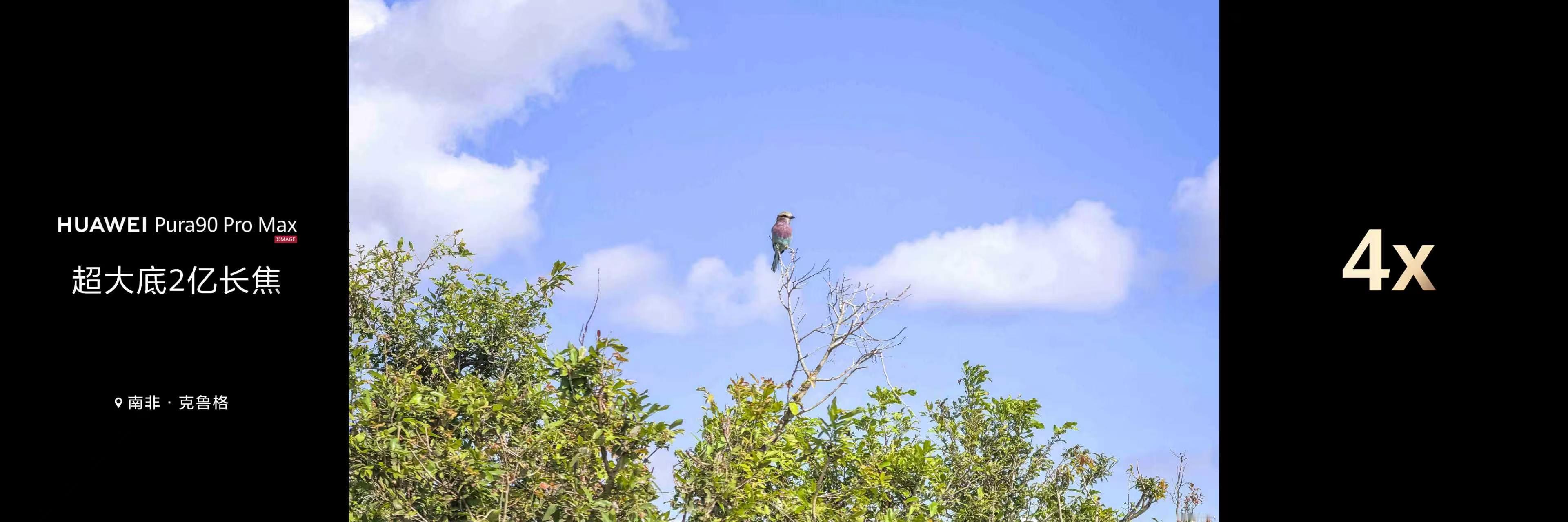 余承东称Pura90是拍鸟神器看完 Pura 90系列的长焦配置我惊了！2亿像素
