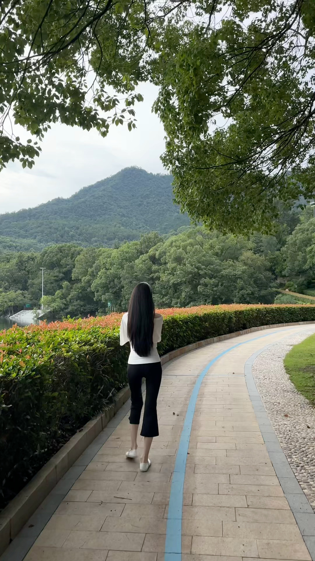 这个世界就是一个巨大的草台班子 洗洗早点睡吧