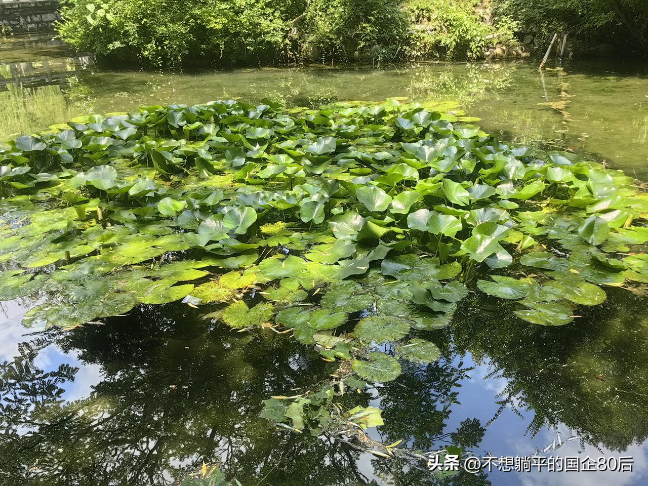 公司业务停滞后的第三个月。今天，又是平淡无奇的一天，办公室不大，一共5个人，和昨