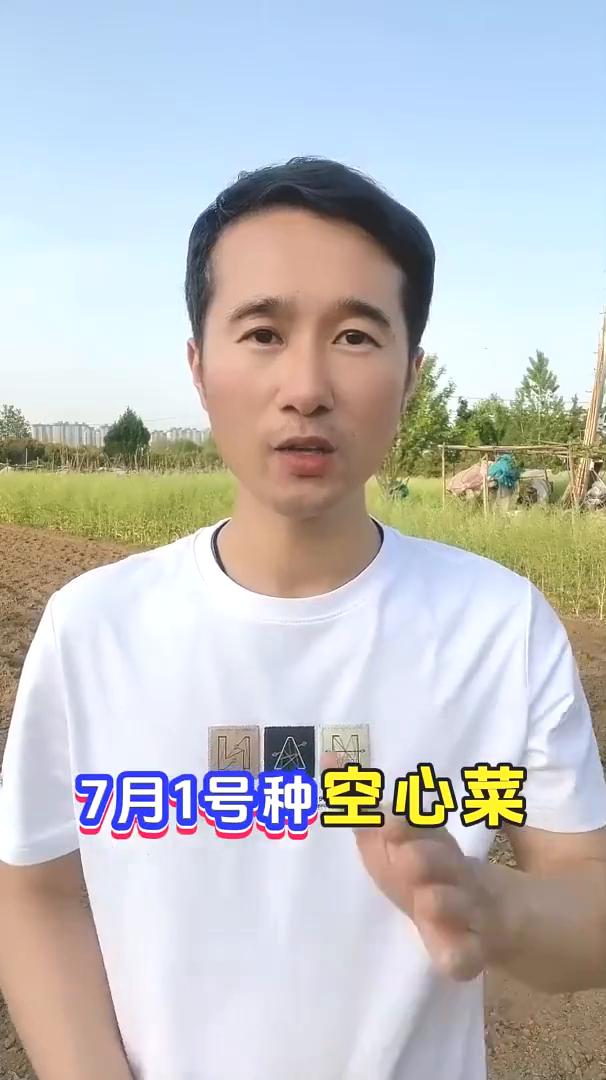 2025年下半年种菜时间表，看看您种对了几样？
2025年下半年种菜时间，看看您
