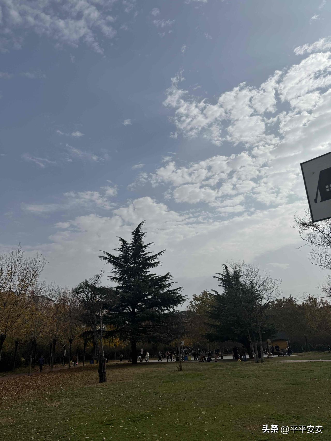 晒图笔记大赛随手一拍[比心][比心][比心]