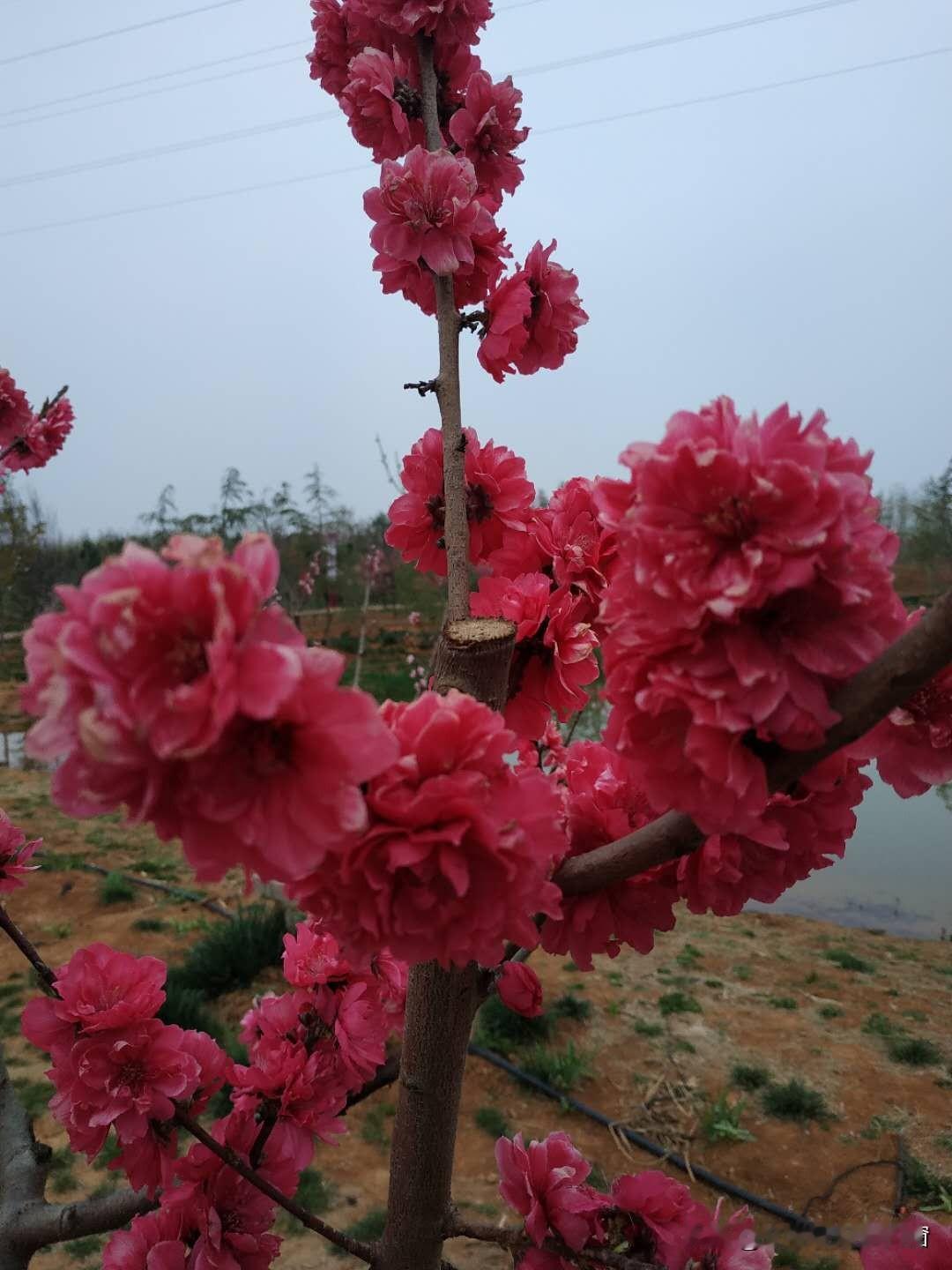 炒股3万元亏1万，今年还能赚回

入市19年老股民4月25日侃股：仅供参考！

