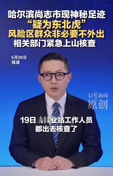 哈尔滨尚志市帽儿山镇的宁静乡村，被一串神秘的大型兽类脚印打破平静。

5月19日