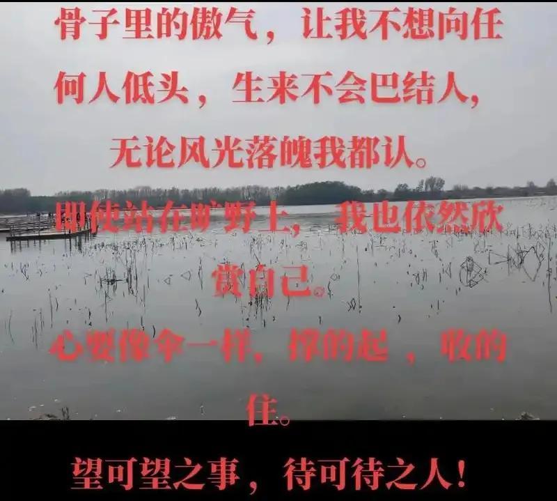 人到中年，有时候真的会觉得，生活里的那盏灯好像突然暗了。

就连一直陪着你的影子