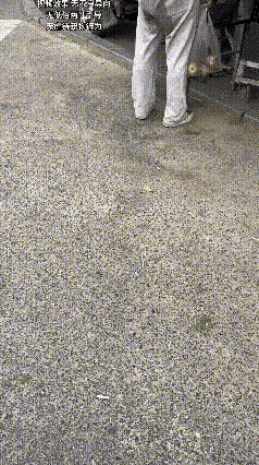 这小伙子绝对是爱狗人士自己出来还不忘带上自己的小狗，只是自己裤子后面湿了一片，小