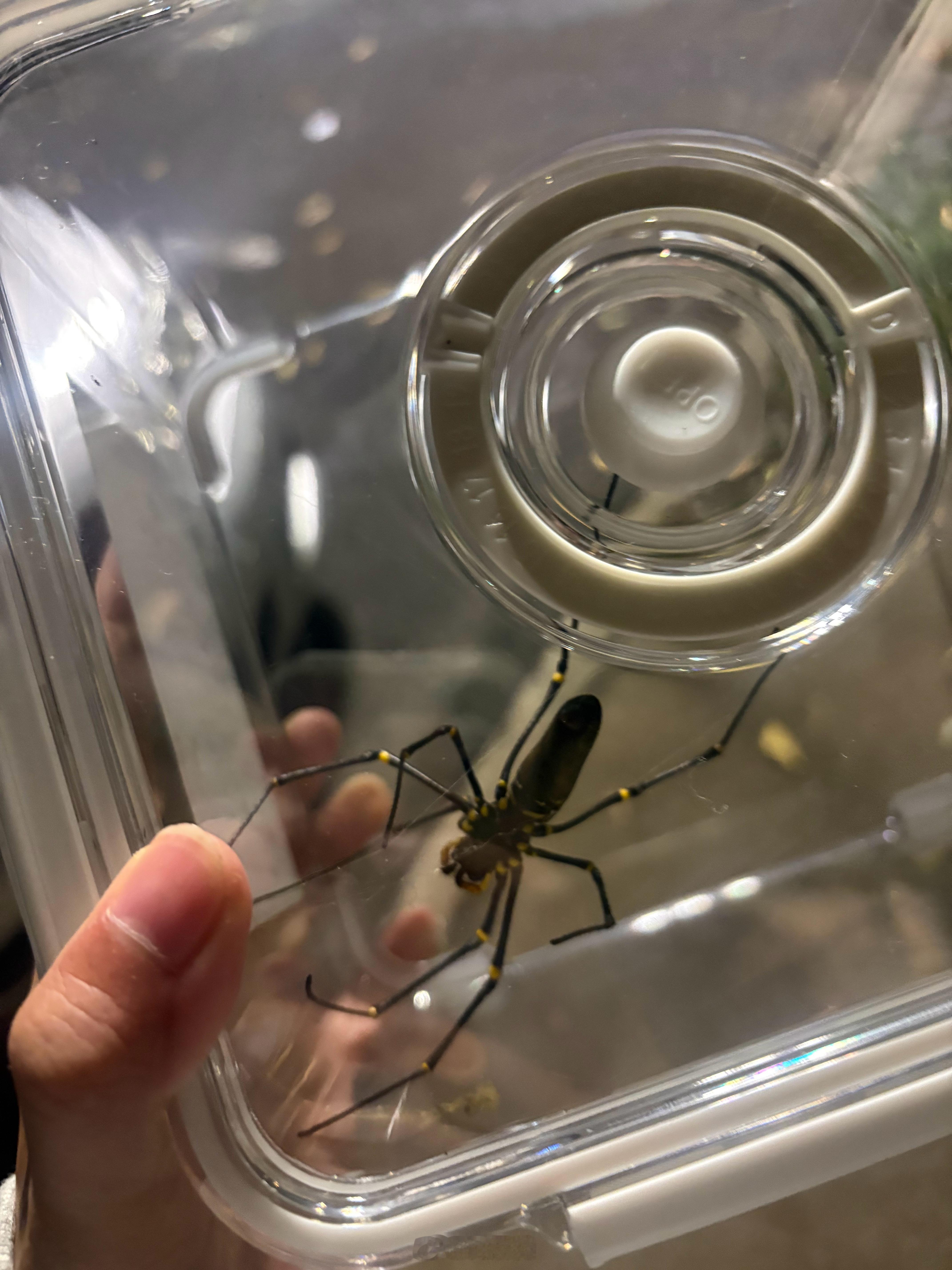 我想要我得到 