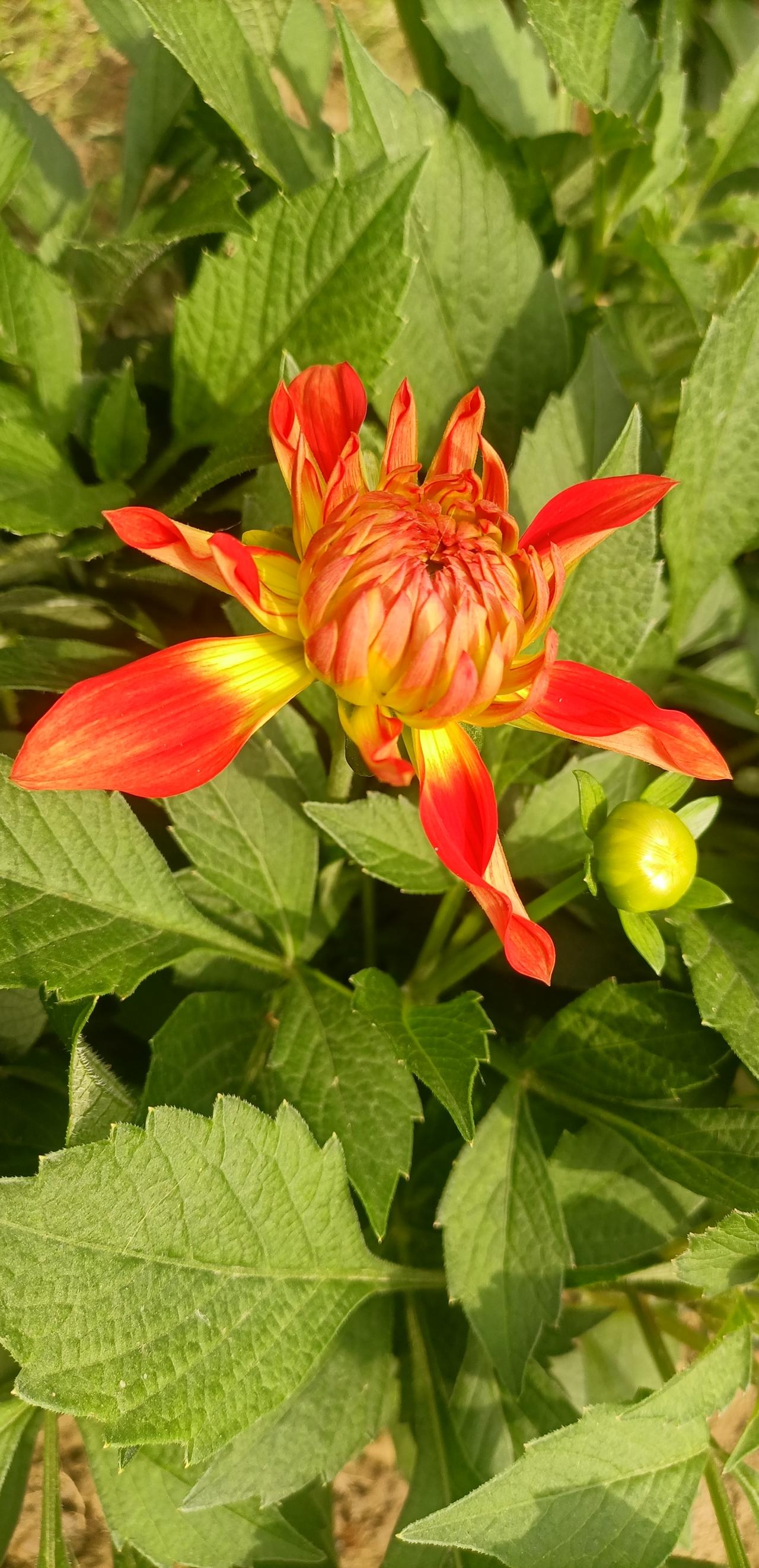 【春之韵·所求之物，本在心中】今年春天最想实现的心愿

禅语禅心：
终日寻春不见