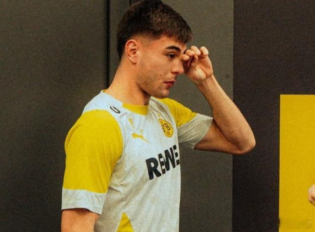 01月28日讯 据《图片报》报道，得知被切尔西召回后安塞尔米诺痛哭，他可能只是被