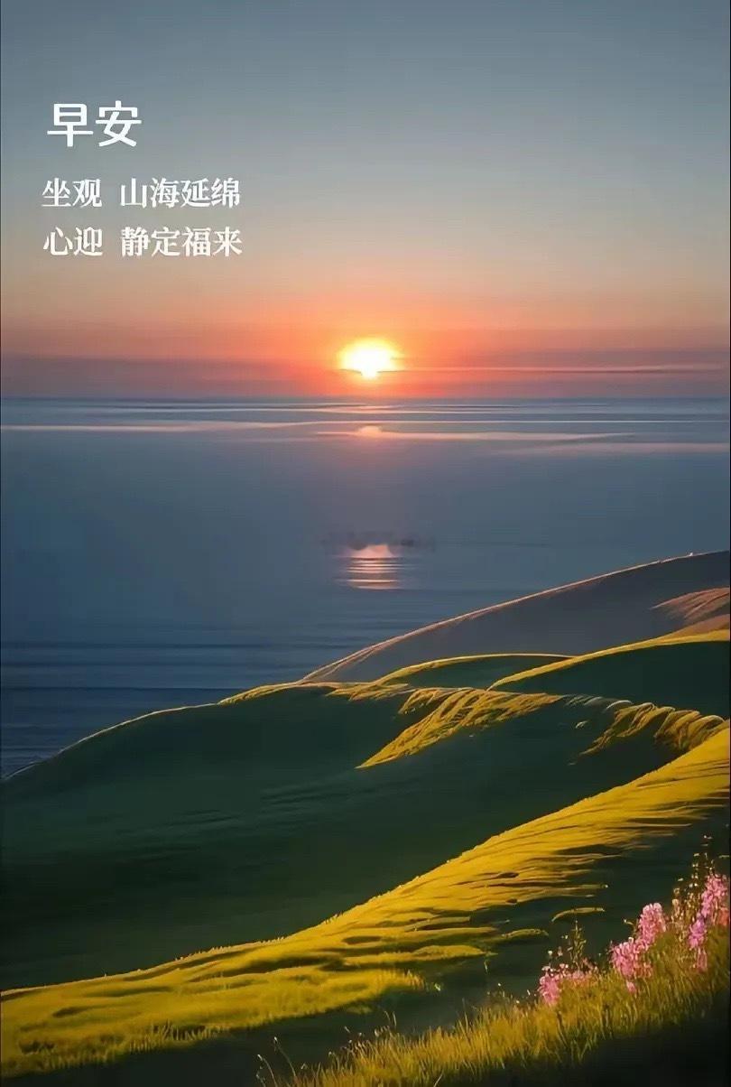 7月15日美股延续反弹，板块极致分化：头部AI科技巨头普涨，存储芯片集体大跌，中