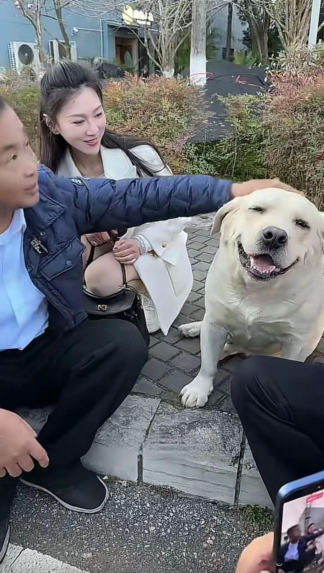 沈巍先生在外地旅游时，发现了一只可爱的流浪狗，这条流浪狗非常的乖巧，在沈巍先生面