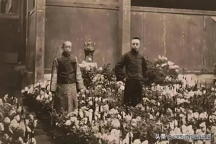 1961年春天，溥仪从抚顺战犯管理所出来一年多了。他在北京植物园当园丁，每天跟月