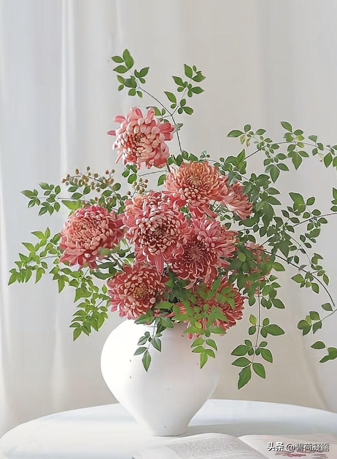 分享一组插花，美丽的插花，花儿宛如大自然的精灵，在花瓶中亭亭玉立，绚丽芬芳，展示