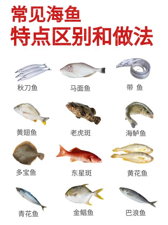 🐟 常见海鱼大合集 | 特点+做法一篇搞定！