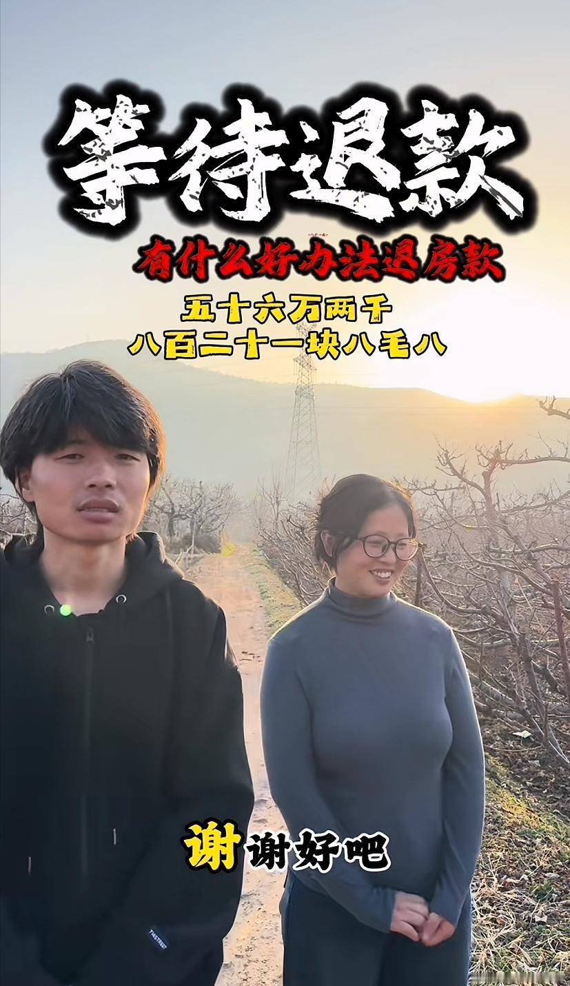 个人相比开发商也能不渺小，让人佩服他们的勇气。开发商多次违约，购房者起诉退房、退