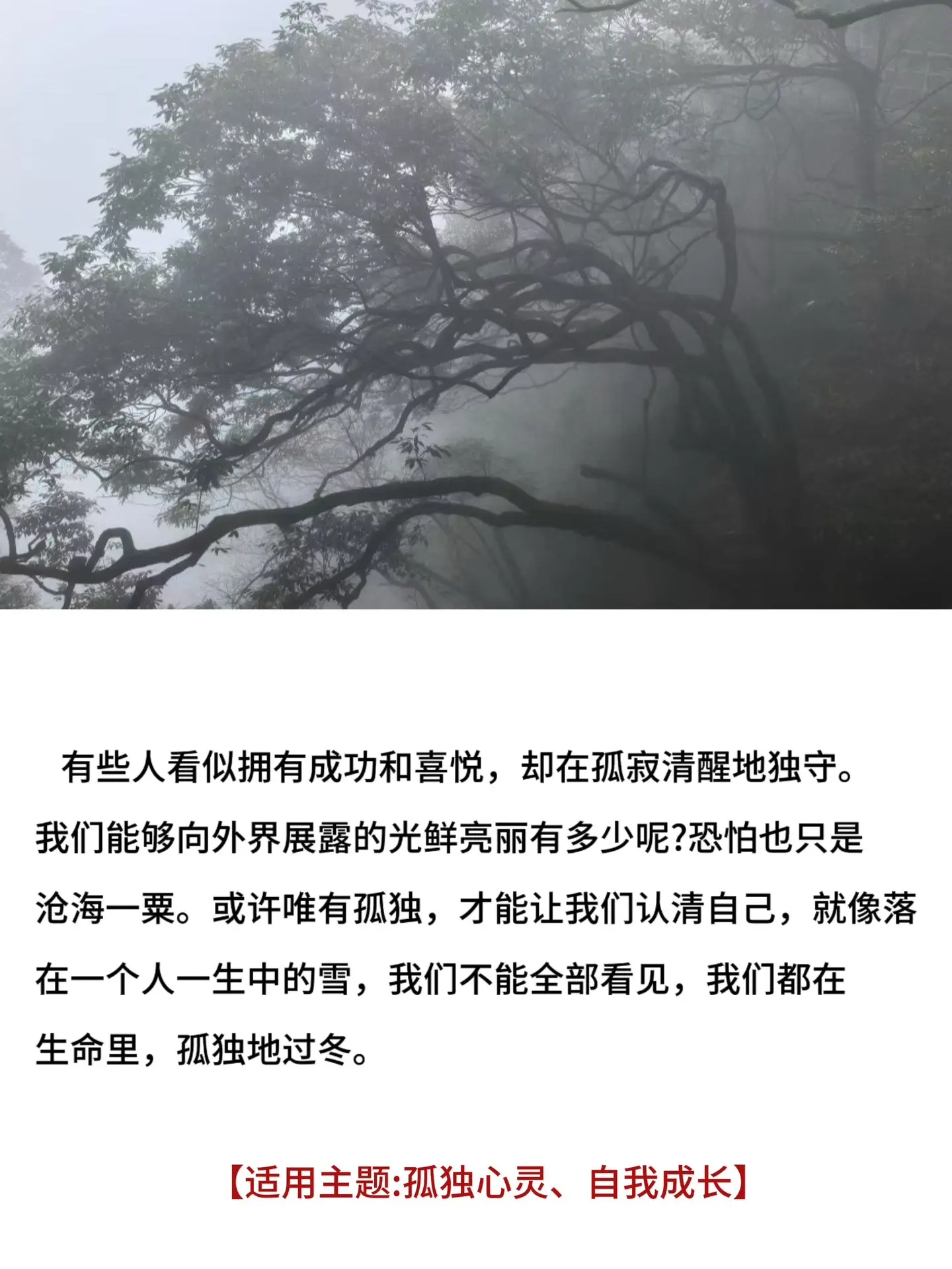 熠熠生辉的作文开头和结尾