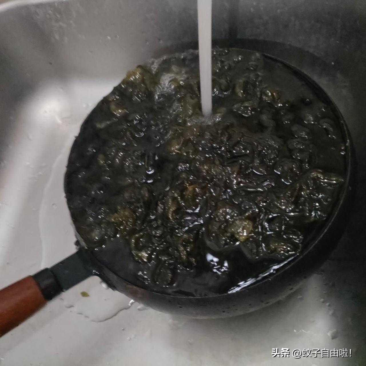 五月好多雨水，上周跟朋友在雨停了的山上溜达，路边好多肥肥的地木耳。地木耳有好几种