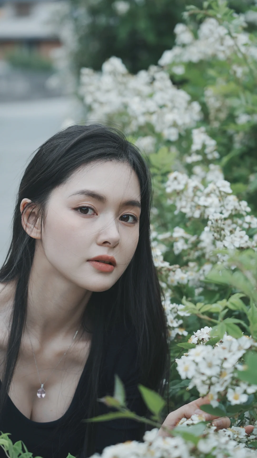 六月的川西开花啦