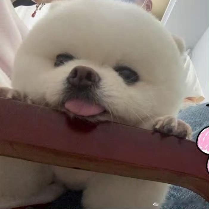 ymp不明显头像🈶 